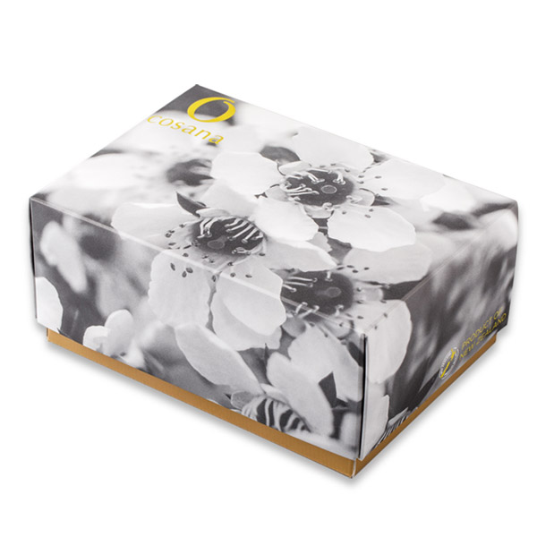 ☆リボン付☆【ギフトボックス無料】マヌカハニーMGO400＋250gの2本組