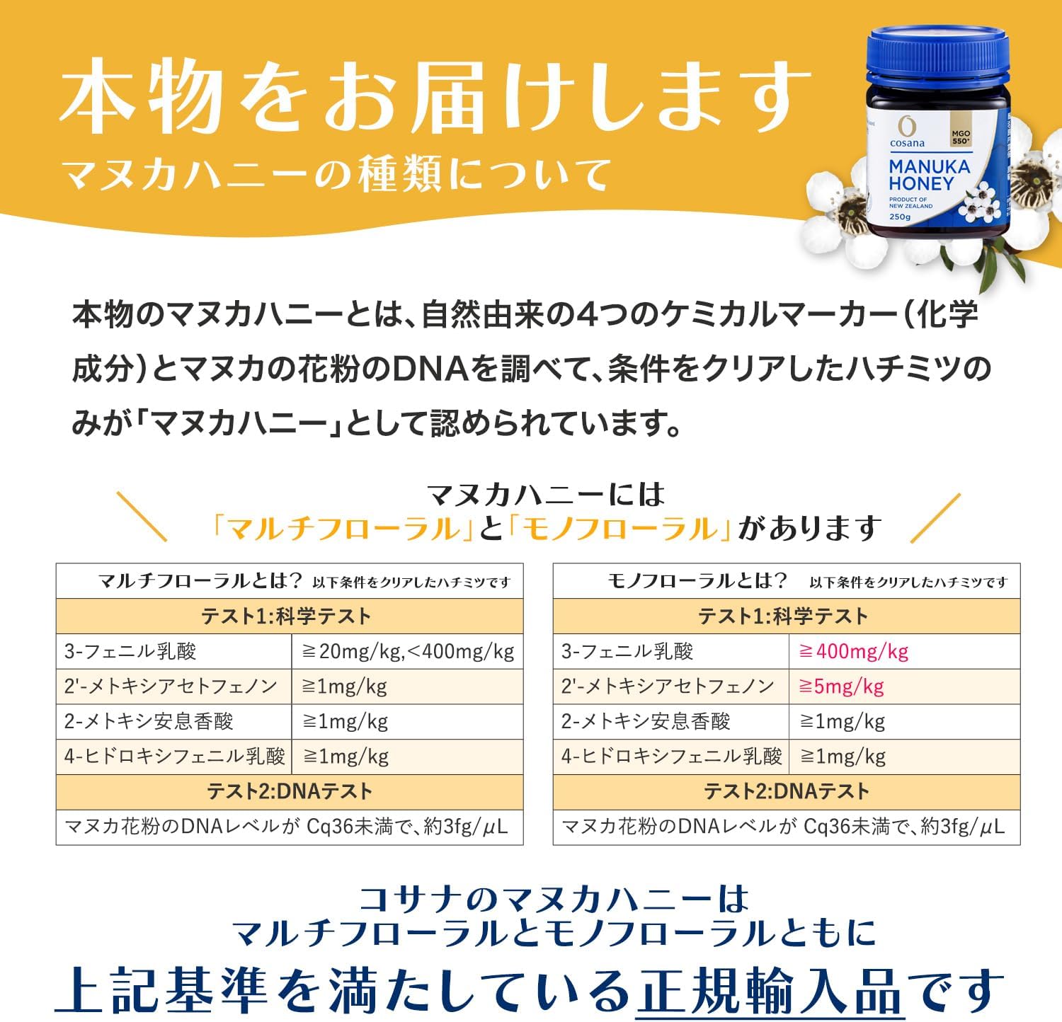 毎日しっかり続けたい】 マヌカハニー MGO100+ 250g