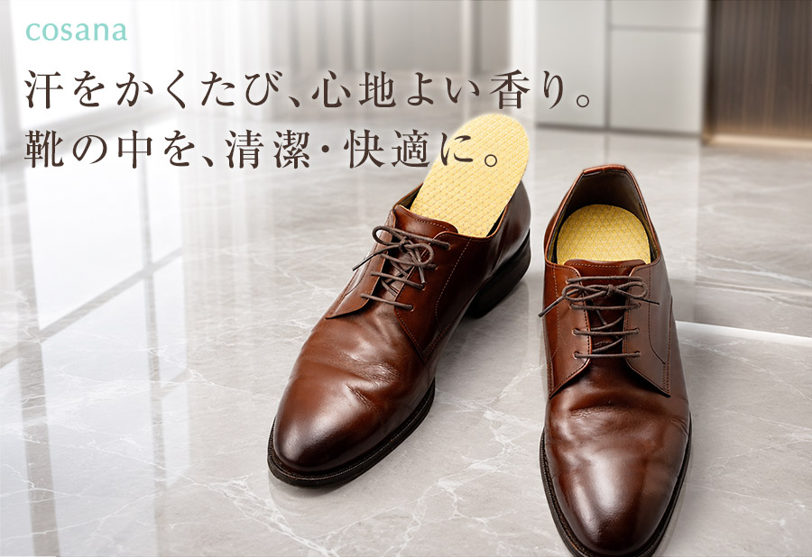 靴の中にフリーゾルインソールを入れた使用イメージ